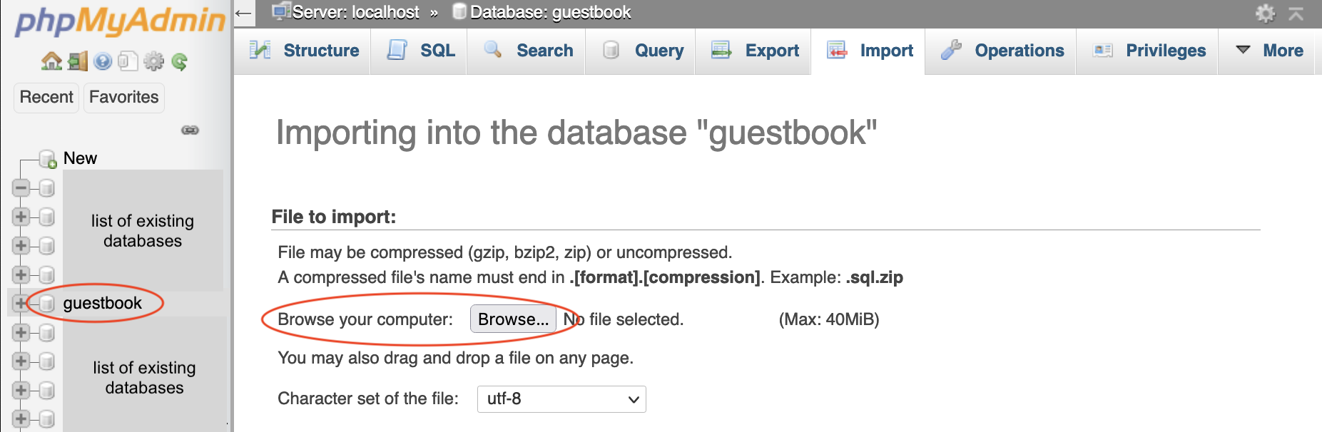 screen showing how to import SQL file