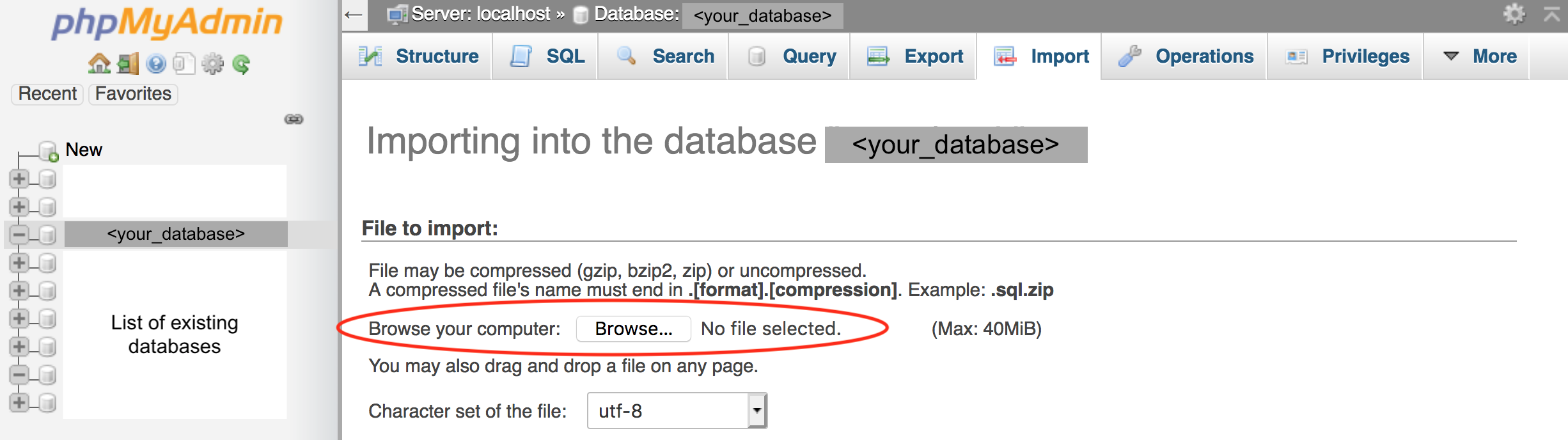 screen showing how to import SQL file